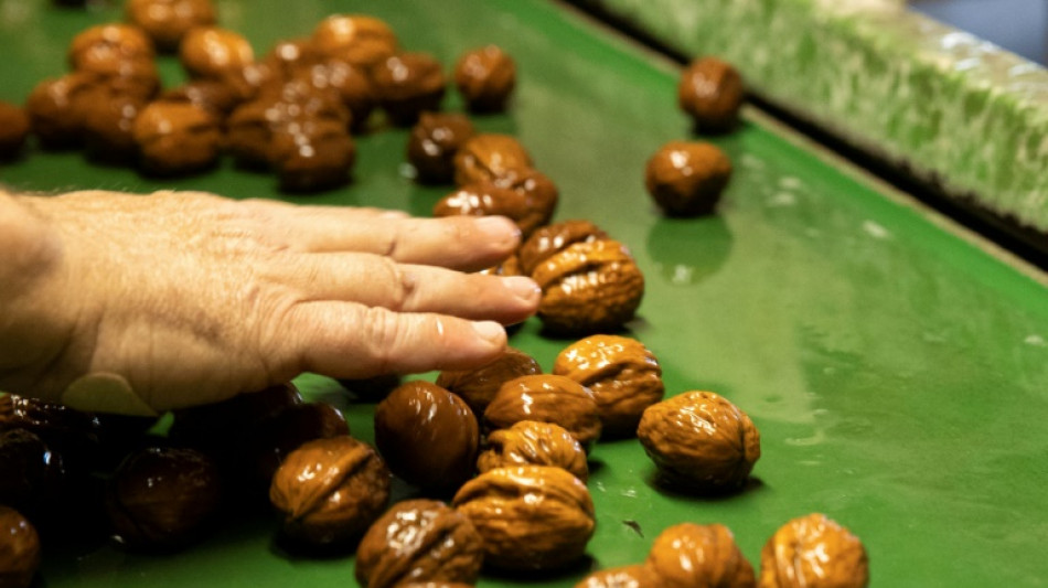 Crise de la noix: l'angoisse des producteurs fran&ccedil;ais qui vendent &agrave; perte