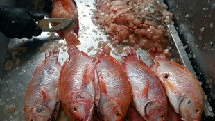 Los puntos clave del nuevo acuerdo de la OMC sobre la pesca