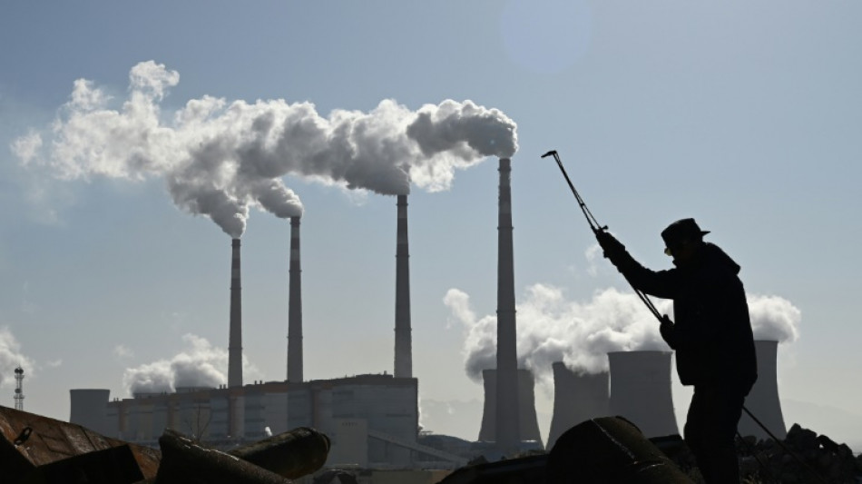 New coal capacity hit 20-year low in 2024: report