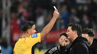 Schiri-Frust beim HSV - Schlager erkl&auml;rt sich