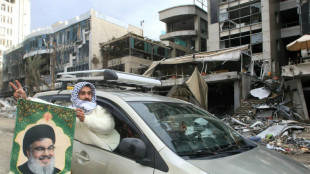 Des dizaines de milliers de Libanais sur la route du retour, apr&egrave;s le cessez-le-feu entre Isra&euml;l et le Hezbollah 