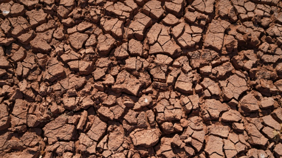 Les impacts d&eacute;vastateurs du r&eacute;chauffement au crible de 195 pays