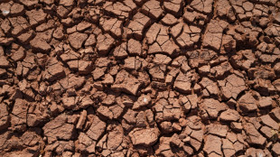 Les impacts d&eacute;vastateurs du r&eacute;chauffement au crible de 195 pays