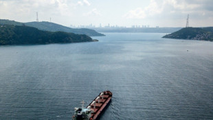 "Razoni" legt in der T&uuml;rkei an - Offenbar neuer K&auml;ufer f&uuml;r Mais-Fracht gefunden