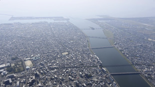 Giappone, 'possibile mega-terremoto provocherebbe 300mila morti'