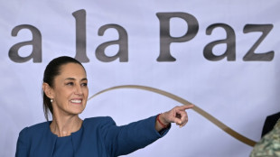 Presidente mexicana lan&ccedil;a campanha nacional de desarmamento