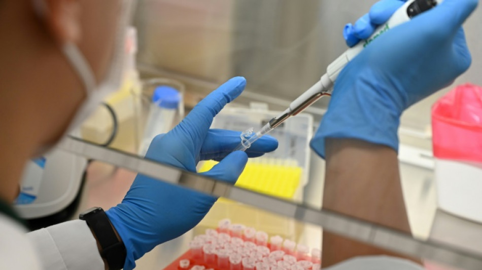 Containerlabor aus Hamburg soll Palmblattmanuskripte in Indien entschl&uuml;sseln