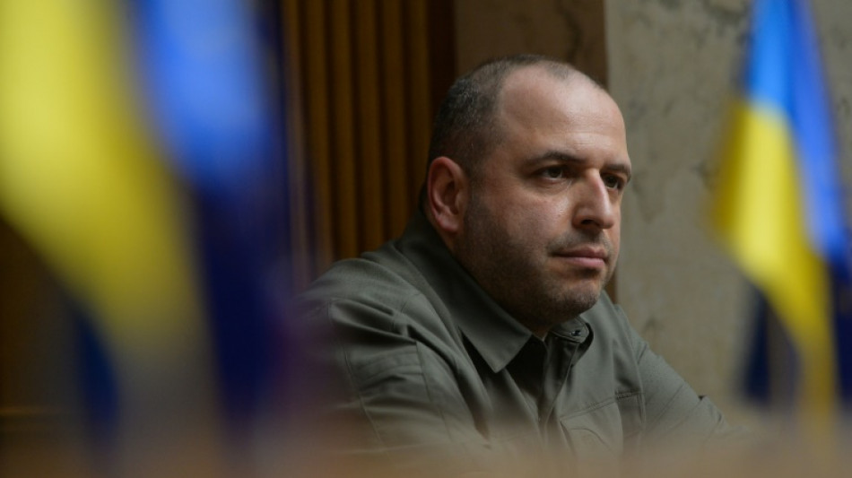 Novo ministro ucraniano da Defesa promete libertar 'cada cent&iacute;metro' do pa&iacute;s