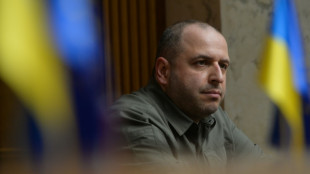 Novo ministro ucraniano da Defesa promete libertar 'cada cent&iacute;metro' do pa&iacute;s