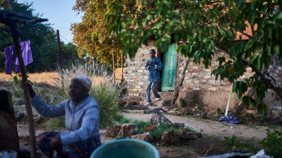 Au Zimbabwe, les &eacute;l&eacute;phants trop nombreux menacent l'homme