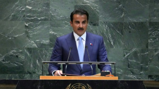 Catar diz na ONU que continuar&aacute; esfor&ccedil;os para conseguir tr&eacute;gua em Gaza