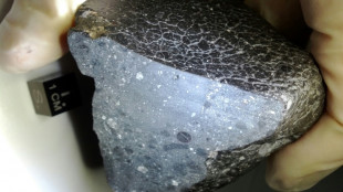 Cient&iacute;ficos localizan el origen de un meteorito marciano que impact&oacute; en la Tierra