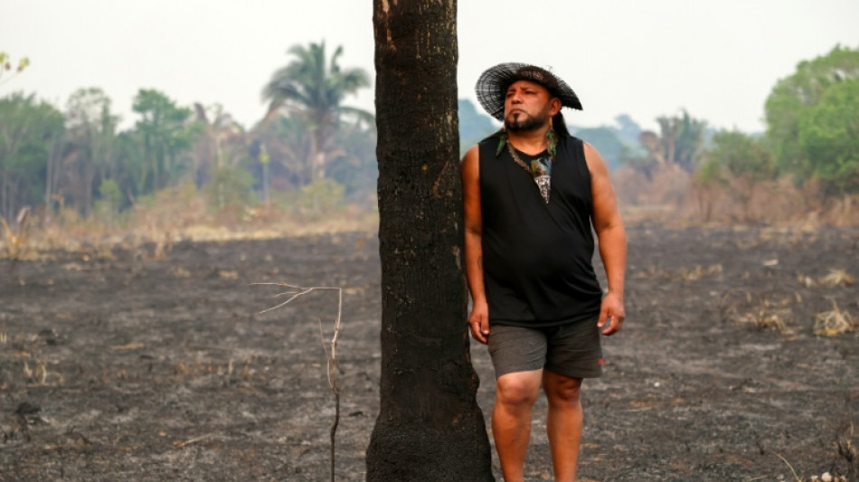 Deforestation in Brazil Amazon hits nearly four-decade low