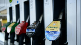 Mineral&ouml;lwirtschaft warnt erneut vor m&ouml;glichen Engp&auml;ssen zum Ende des Tankrabatts