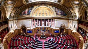 Budget: le S&eacute;nat fait barrage &agrave; la taxation des superprofits