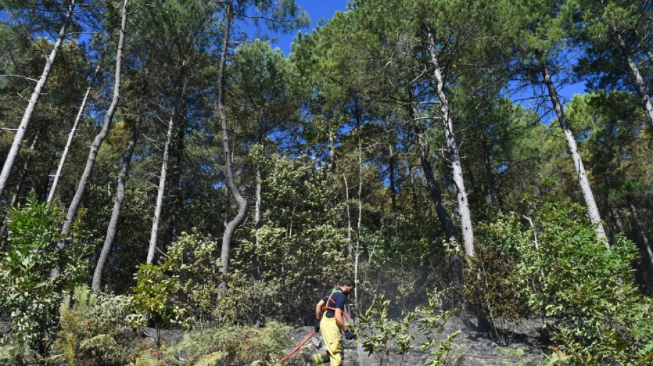 Incendie des Cévennes: nuit calme sur le site maintenu sous surveillance