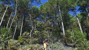 L'incendie des C&eacute;vennes ma&icirc;tris&eacute;, maintien d'un dispositif de surveillance all&eacute;g&eacute;