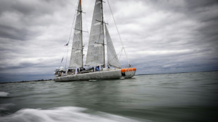 Un nouveau groupe de virus d&eacute;couvert gr&acirc;ce &agrave; Tara Oc&eacute;ans 