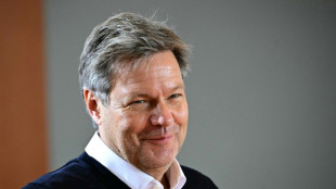 Bericht: Habeck will 1000 Euro Ladestromguthaben f&uuml;r jeden E-Auto-K&auml;ufer