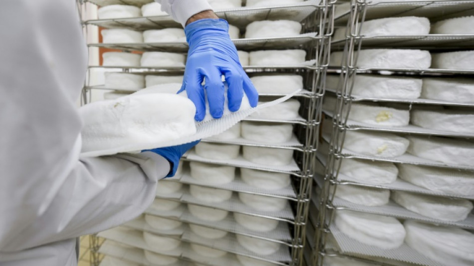 Fromages au lait cru, les bactéries à l'oeuvre