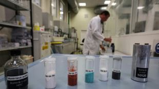 M&eacute;taux critiques: un premier sommet international &agrave; Paris