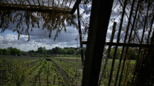 EU-Einigung auf Unterstützung für Winzer und Kennzeichnung für alkoholfreie Weine