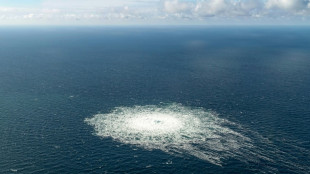 Fotos belegen Gegenwart von russischem Milit&auml;rschiff vor Nord-Stream-Explosionen