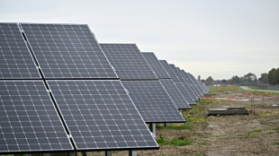 La energ&iacute;a solar super&oacute; por primera vez al carb&oacute;n en la producci&oacute;n de electricidad en la UE en 2024