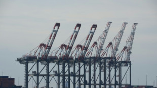 Greve em portos dos EUA se inicia com consequ&ecirc;ncias para o com&eacute;rcio