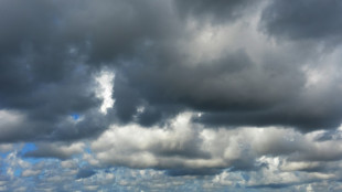 Aufl&ouml;sung von Punker-Protestcamp auf Sylt abschlie&szlig;end juristisch gebilligt