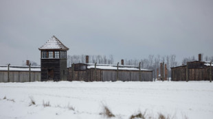 Scholz: Unwissenheit &uuml;ber Holocaust unter jungen Menschen "bedr&uuml;ckend"