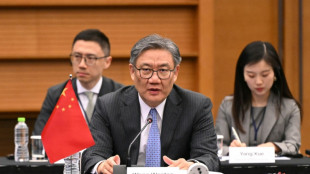 China promete "medidas firmes" ante las recomendaciones de EEUU sobre chips