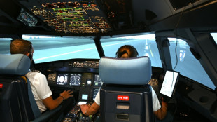 "Mayday, Mayday!": dans un A320 virtuel, les enjeux sont r&eacute;els