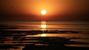 Climat: le dépassement de l'objectif de 1,5 °C est "inévitable", selon le chef de l'ONU