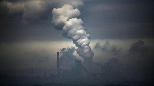 &iquest;C&oacute;mo calculan las empresas sus emisiones de gases de efecto invernadero?