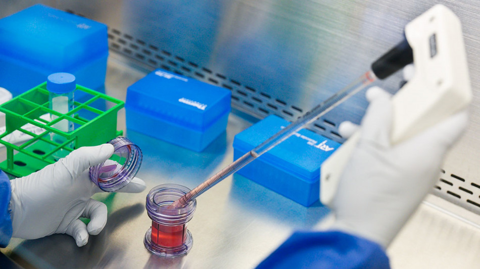 Italiani scoprono un nuovo biomarcatore del cancro gastrico