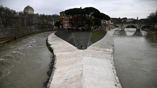 Gualtieri, 'entro 5 anni potremo fare il bagno nel Tevere'