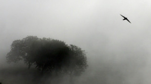 Bauarbeiter entdecken in Scheune begrabenes Skelett - wom&ouml;glich alter Mordfall