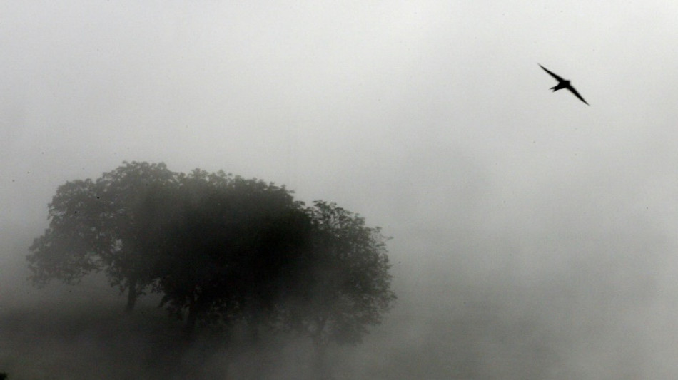 Nach Skelettfund in Scheune pr&uuml;fen Ermittler m&ouml;gliche Verbindung zu Vermisstenfall