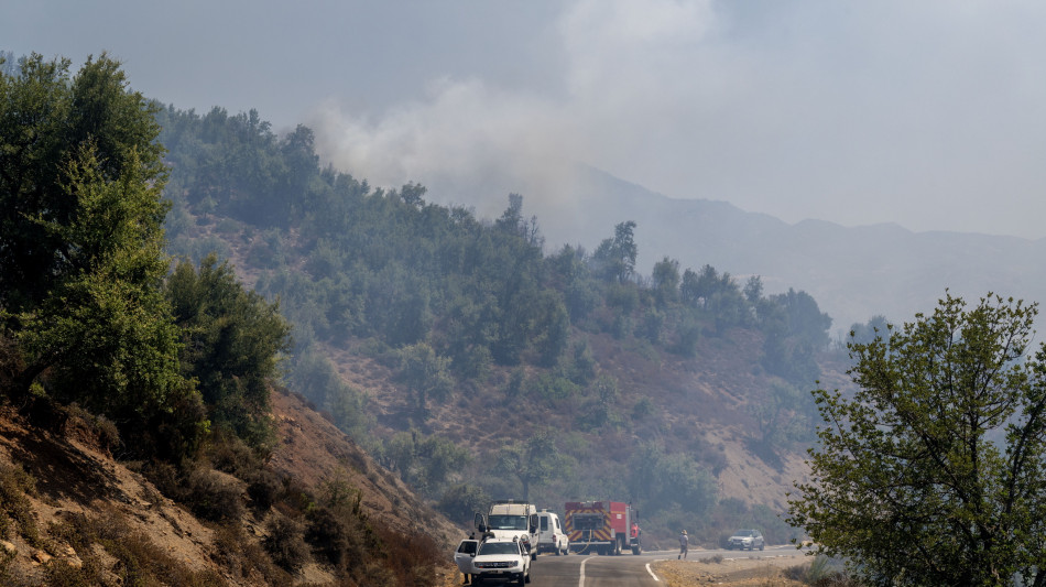 Incendi boschivi, 51900 interventi vigili fuoco da met&agrave; giugno