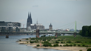 Studie: Der Rhein wird immer wärmer - Anstieg um bis zu vier Grad bis 2100