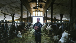 Exploitation laiti&egrave;re cherche repreneurs d&eacute;sesp&eacute;r&eacute;ment