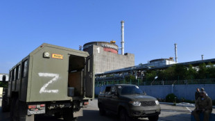 Fin del largo corte de la central nuclear ucraniana de Zaporiyia a la red el&eacute;ctrica