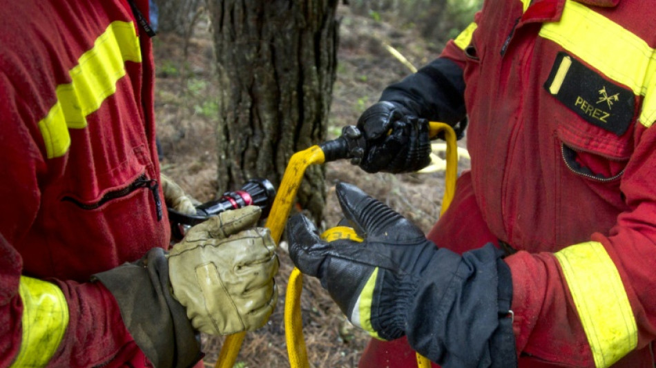 Un nuevo incendio forestal en Espa&ntilde;a provoca la evacuaci&oacute;n de 700 personas