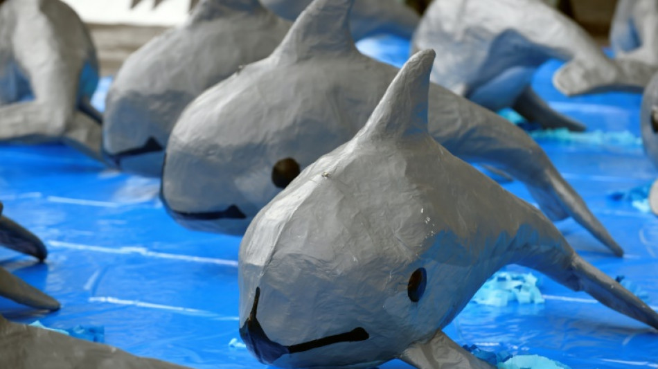 Los sitios del patrimonio mundial de la Unesco son la &uacute;ltima protecci&oacute;n para especies en peligro