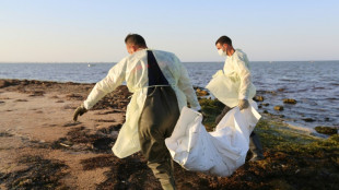 Mais de 900 migrantes morreram afogados na Tun&iacute;sia em seis meses