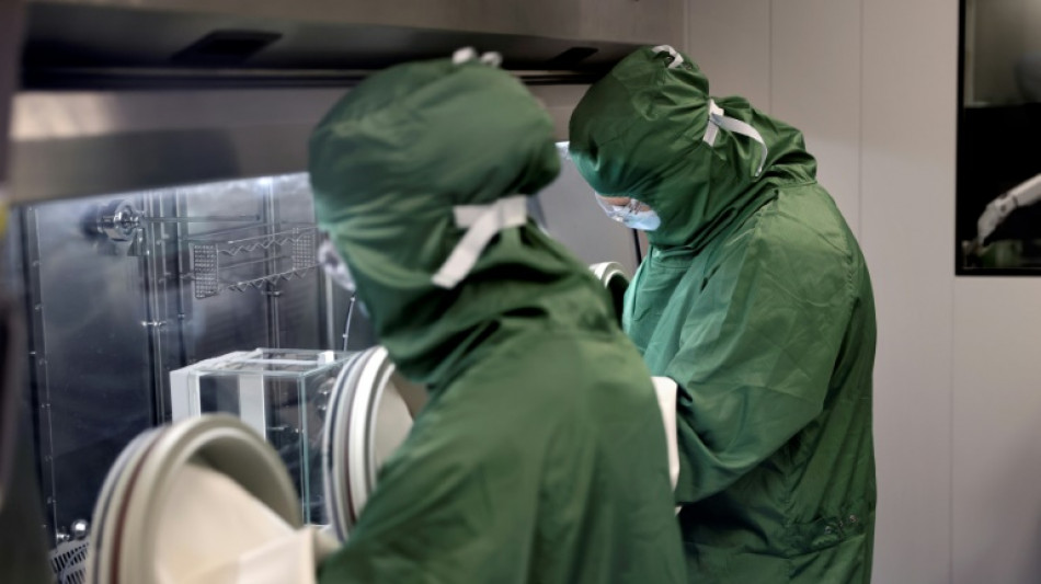 Imunoterapia se consolida como um tratamento-chave contra o c&acirc;ncer