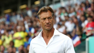 T&eacute;cnico franc&ecirc;s Herv&eacute; Renard reassume sele&ccedil;&atilde;o da Ar&aacute;bia Saudita