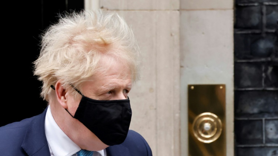 Londoner Polizei weist Verz&ouml;gerung des Bericht zu Lockdown-Partys zur&uuml;ck