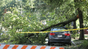 Urteil: Astabbruch geh&ouml;rt zum Risiko in Stra&szlig;enverkehr